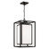 Aiden One Light Outdoor Hanging Lantern in Black (65|953114BK)