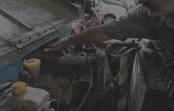 Dig in to a fresh new recipe