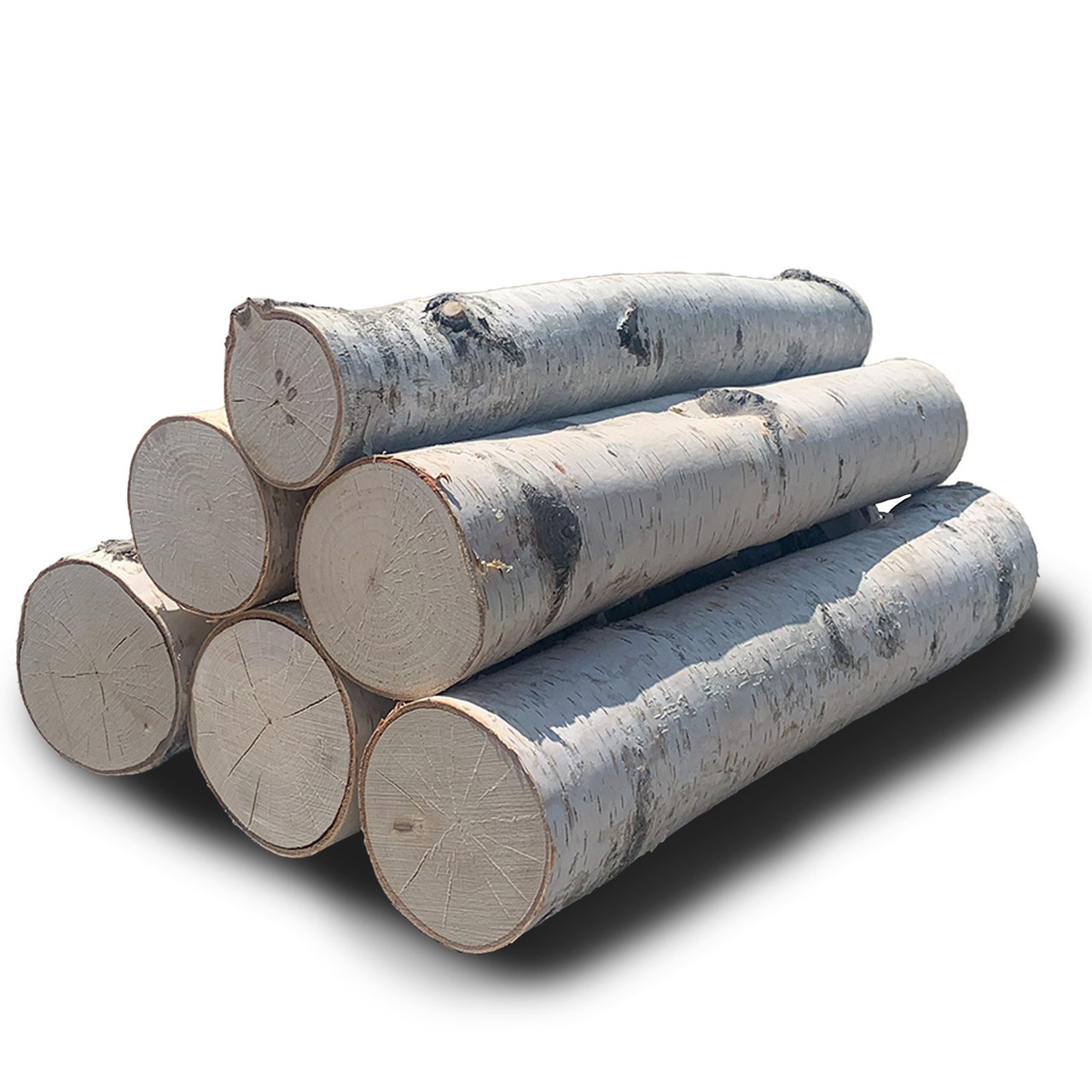 Decorative Round Logs - Kiln Dried Birch - 20cm Long – littleroundlog