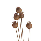 Poppy Head Stake (120cm)