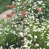 Bee Decorative Stake (114cm)