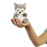  Busky Husky 