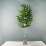 Cypress Spray