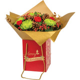 Hand Tie Gift Bag (Tall) - Jolly Holly "Merry Christmas"