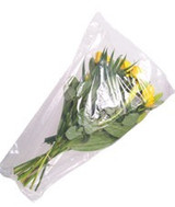 Sleeve - (70cm L x 56cm W) Plain Clear Carry Home Flower Sleeve x 50