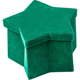Planting Gift Box - Star of Wonder Velvet Green (20cm)