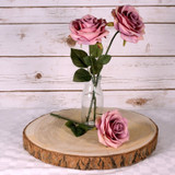 Wood Slice - Real (XL)