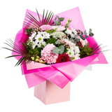 Pink Polka Plant Bag (Medium)