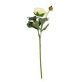 Ranunculus Cream Pink - Artificial Flowers Collection