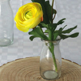 Ranunculus Yellow - Artificial Flowers Collection