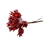 Pick - Shiny Mini Haw Apple Red (11cm)