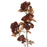 Pip Spray - Balmoral Orange
