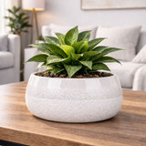 Ceramic Pot - Hortus Bordeaux Stoneware White (13.5cm H x 25cm Dia)