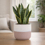 Ceramic Pot - Hortus Bordeaux Stoneware Pink & White (16cm H x 17cm Dia)