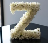 "Z" OASIS® NAYLORBASE® Eco-Base Quick Clip Floral Foam Tribute Letters