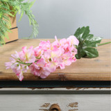 Essential Pink Arundel Garden Delphinium (77cm)
