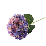 Pink/Purple Giant Hydrangea (92cm)