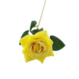 Essential Yellow Rose 