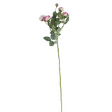 Camelot Garden Rose Spray Blush Pink