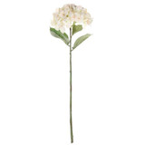 68cm Single Large Hydrangea Cream 