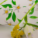 63mm Wired Edge Hessian Ribbon - Floral Harmony (White)