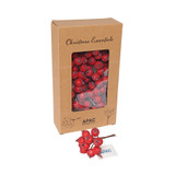 Frosted Berry Pick (Red, Dia1.8cm)