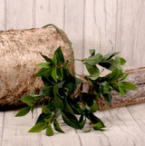 Bay Leaf Spray 70cm