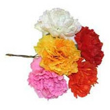 Plastic Assorted Carnation Picks (x100)