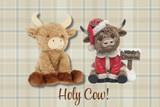 Trending Now: The Highland Cow Moovement 