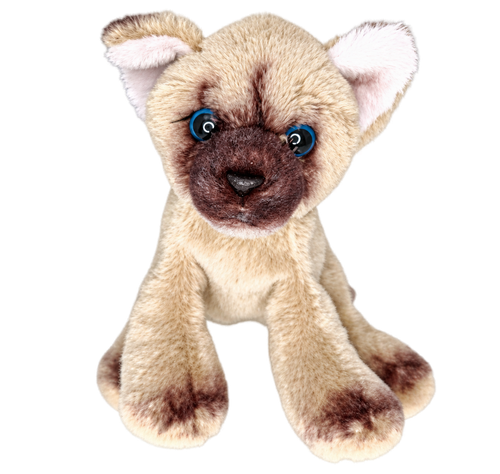 Suki - Small Sitting Realistic Cat - Himalayan