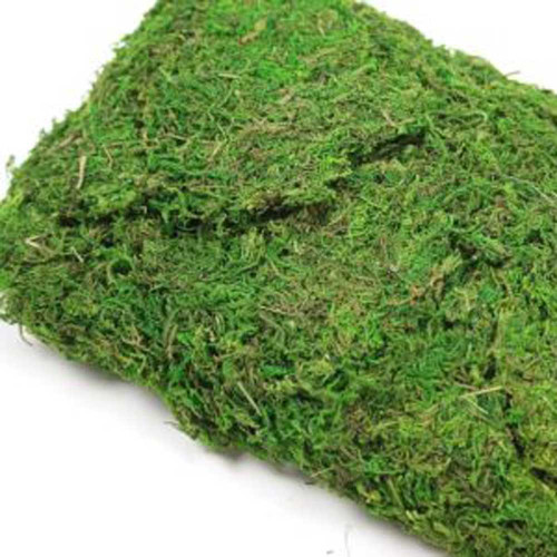 Moss - Dry Asia Natural (250g)