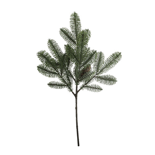 Pine Stem (60cm)