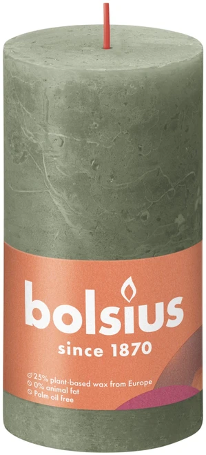 Fresh Olive Bolsius Rustic Shine Pillar Candle (130 x 68mm)