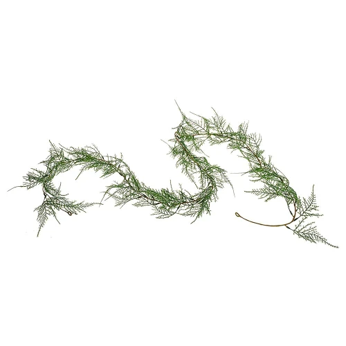Asparagus Fern Garland (183cm)