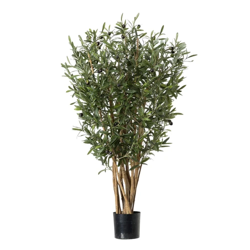 Green Olive Tree Potted (76cm H)