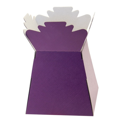 Living Vases - Purple