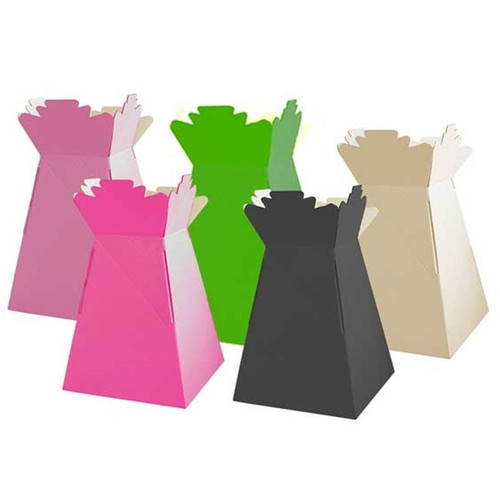 Living Vases Mixed Colours - Super Size