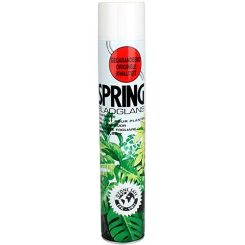 Leaf Shine - Spring (750ml)