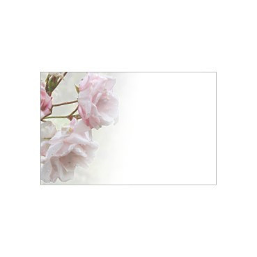 Flat Message Cards - Faded Pale Pink Roses