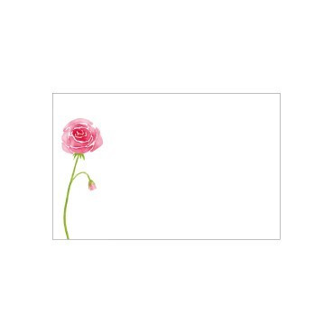 Flat Message Cards - Watercolour Pink Rose