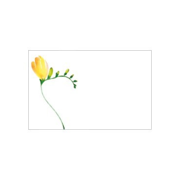 Flat Message Cards - Watercolour Yellow Freesia