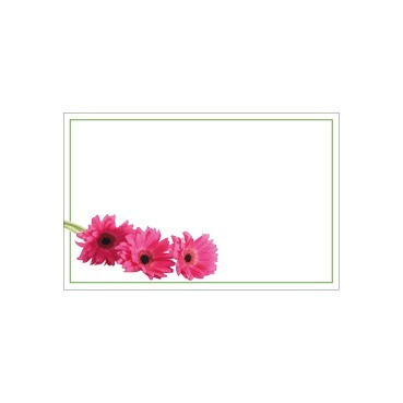 Flat Message Cards - Pink Gerbera Trio