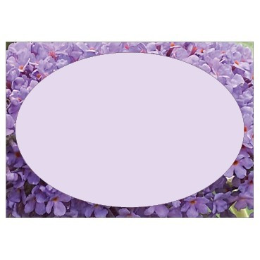 Flat Message Cards (Large) - Lilac Border