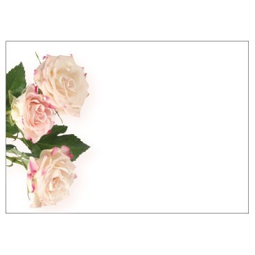 Flat Message Cards (Large) - Pale Pink Roses