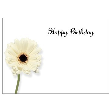 Flat Message Cards (Large) Happy Birthday Cream Gerbera
