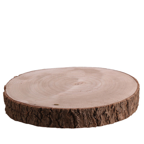 Wood Slice - Real (M)