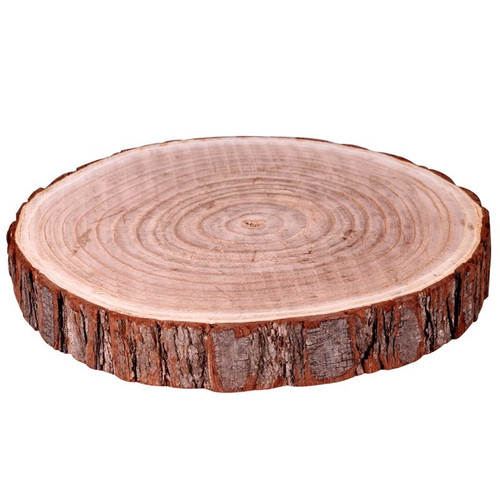 Wood Slice - Real (L)
