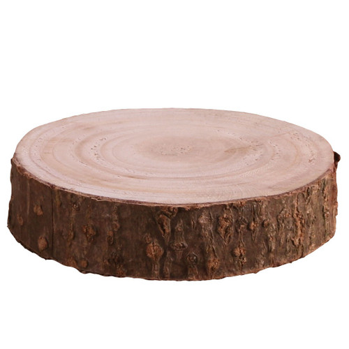 Wood Slice - Real (XS)