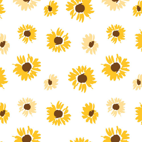 Cello Wrap (Clear) - Sunflower Splash