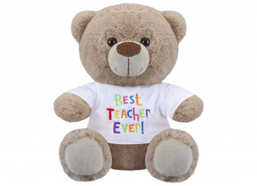 Soft Toy Bear - Best Teacher Ever